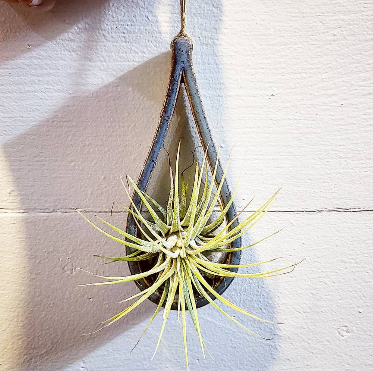 Ceramic Air Plant Teardrop Holder