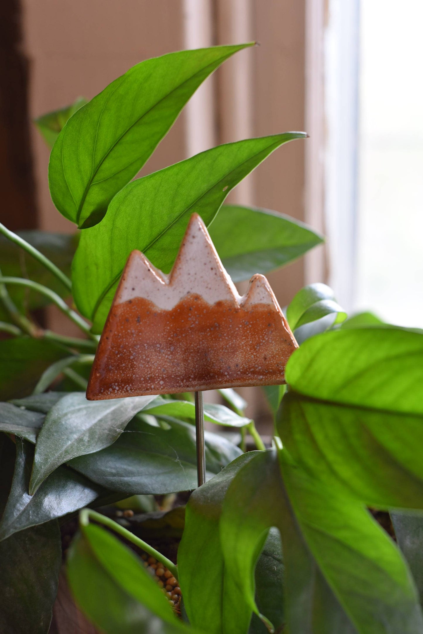 6" Plant Buddy - Mountain