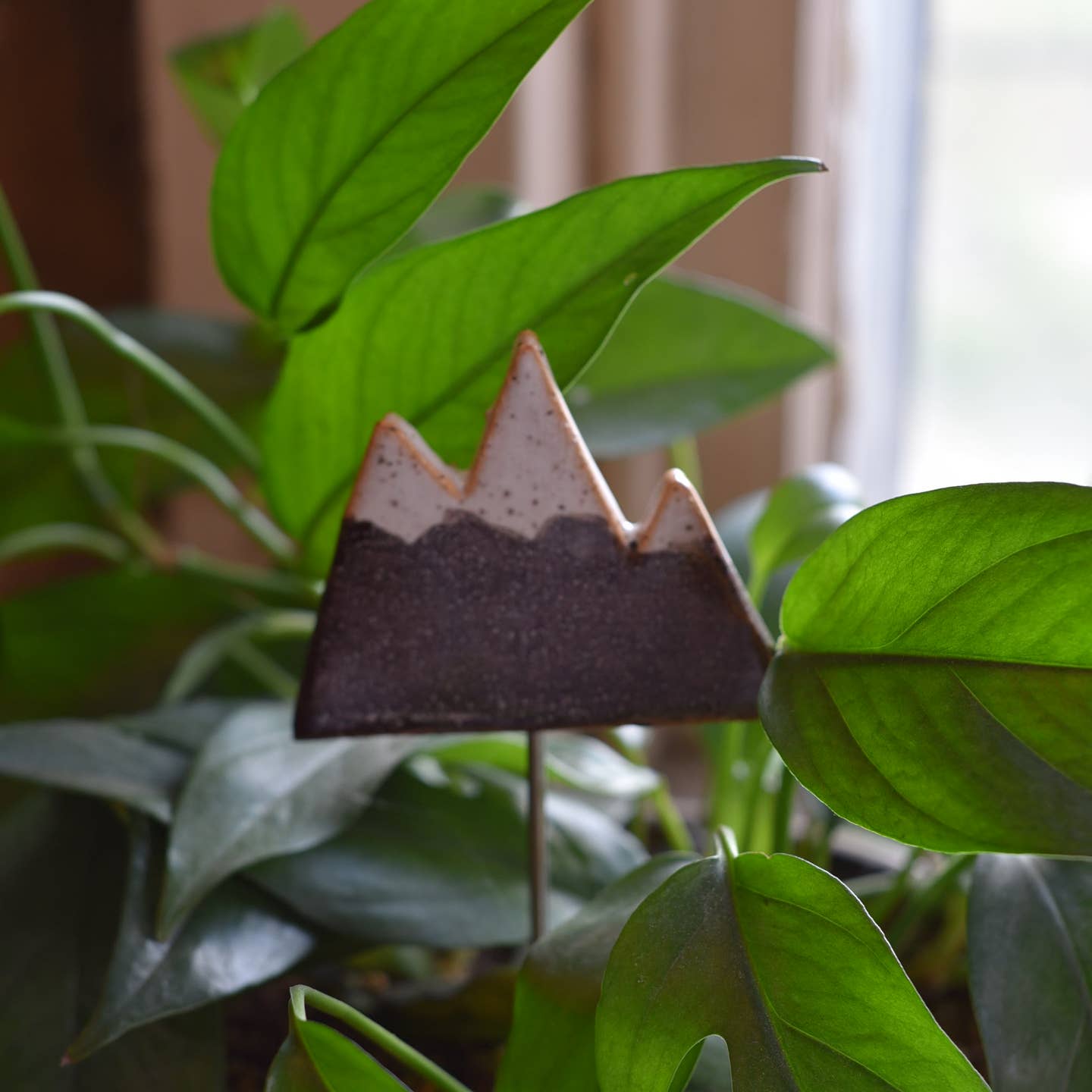 6" Plant Buddy - Mountain