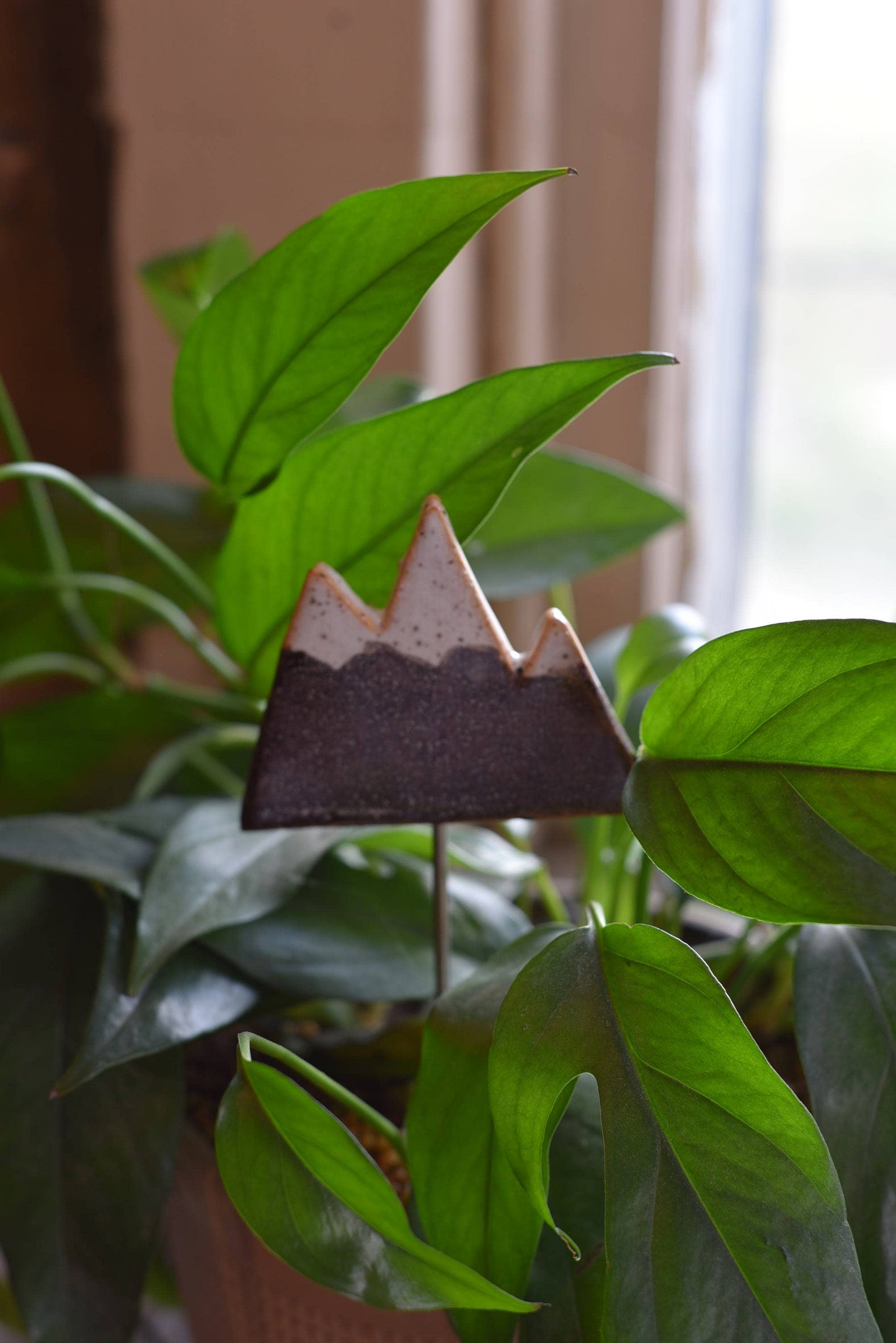 6" Plant Buddy - Mountain