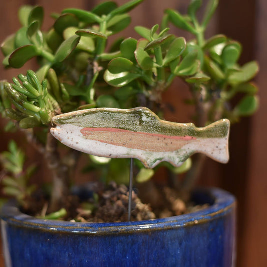 6" Plant Buddy - Fish