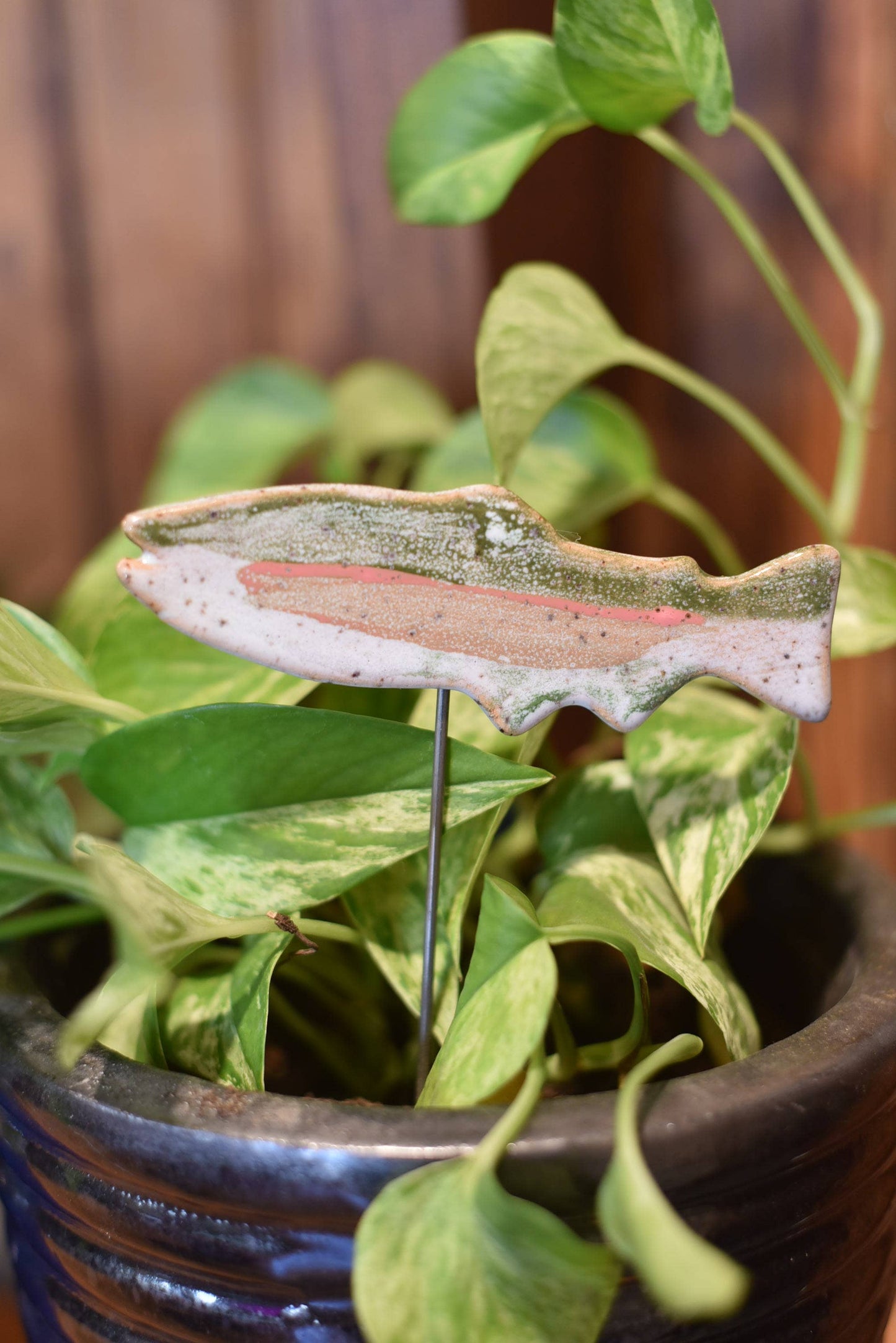 6" Plant Buddy - Fish
