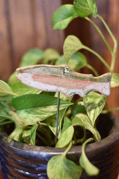 6" Plant Buddy - Fish